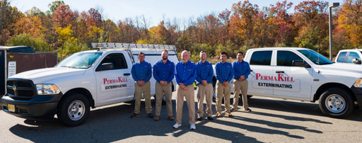meet_the_team_top_img.jpg